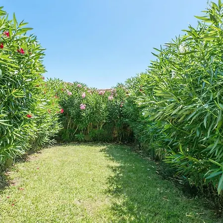 Appartamento Il Belvedere 1bis 1